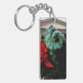 Noord-Leeuw bij het Art Institute of Chicago Sleutelhanger (Voorkant Links)