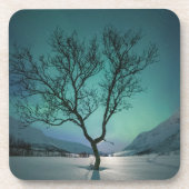 Noord-Lights Tree Bier Onderzetter (Voorkant)