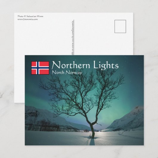 Noord-Lights Tree Briefkaart (Voorkant / Achterkant)