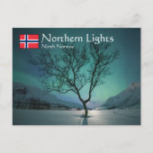 Noord-Lights Tree Briefkaart (Voorkant)