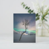 Noord-Lights Tree Briefkaart (Staand voorkant)