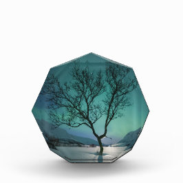 Noord-Lights Tree Fotoblokken