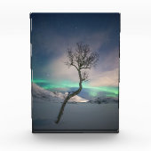 Noord-Lights Tree Fotoblokken (Voorkant)