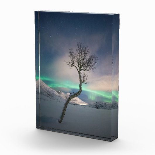 Noord-Lights Tree Fotoblokken (Rechts)