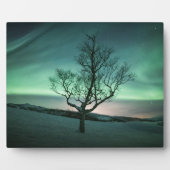 Noord-Lights Tree Fotoplaat (Voorkant)