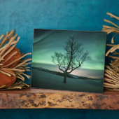 Noord-Lights Tree Fotoplaat (Zijkant)