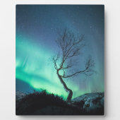 Noord-Lights Tree Fotoplaat (Voorkant)
