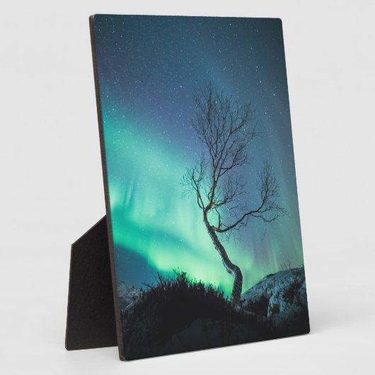 Noord-Lights Tree Fotoplaat (Zijkant)