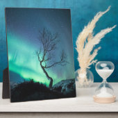 Noord-Lights Tree Fotoplaat (Zijkant)