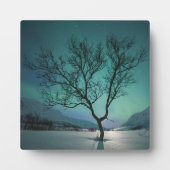 Noord-Lights Tree Fotoplaat (Voorkant)