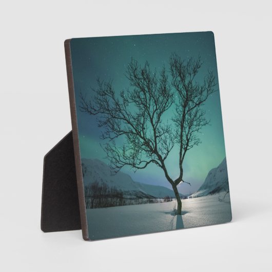 Noord-Lights Tree Fotoplaat (Voorkant)