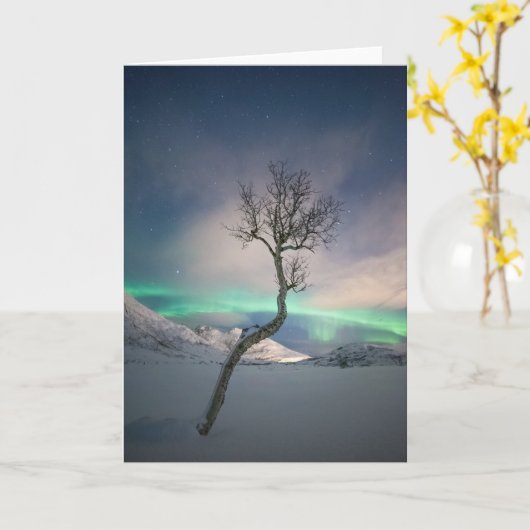 Noord-Lights Tree Kaart (Gele Bloem)