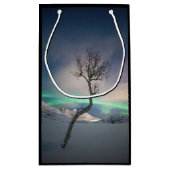Noord-Lights Tree Klein Cadeauzakje (Achterkant)