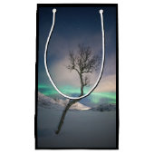 Noord-Lights Tree Klein Cadeauzakje (Voorkant)