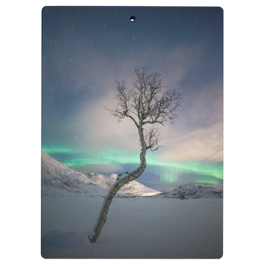 Noord-Lights Tree Klembord (Achterkant)