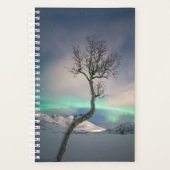 Noord-Lights Tree Planner (Voorkant)