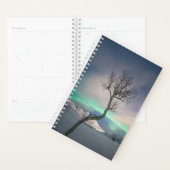 Noord-Lights Tree Planner (Display)