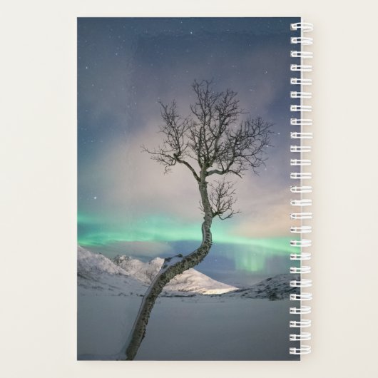Noord-Lights Tree Planner (Achterkant)