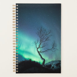 Noord-Lights Tree Planner