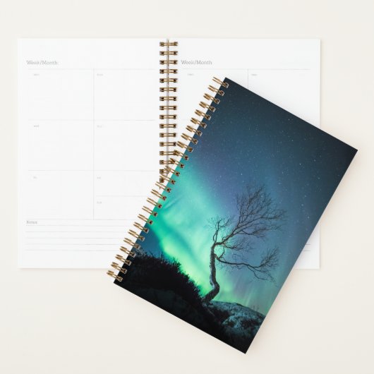 Noord-Lights Tree Planner (Display)