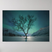 Noord-Lights Tree Poster (Voorkant)