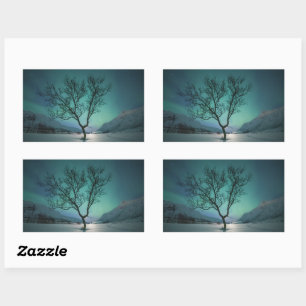 Noord-Lights Tree Rechthoekige Sticker
