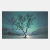 Noord-Lights Tree Rechthoekige Sticker (Voorkant)