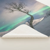 Noord-Lights Tree Sherpa Deken (3/4)