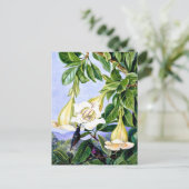 Noord - Loof en Bloemen van een tropische Amerikaa Briefkaart (Staand voorkant)