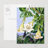 Noord - Loof en Bloemen van een tropische Amerikaa Briefkaart (Voorkant / Achterkant)