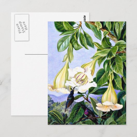 Noord - Loof en Bloemen van een tropische Amerikaa Briefkaart (Voorkant / Achterkant)