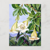 Noord - Loof en Bloemen van een tropische Amerikaa Briefkaart (Voorkant)