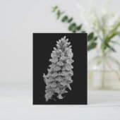 Noord-Marsh Orchid Briefkaart (Staand voorkant)