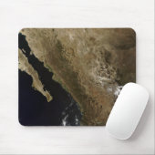 Noord-Mexico Muismat (Met muis)