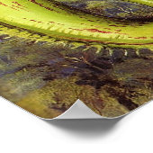 Noord - Nepenthes Iana 1876 Poster (Hoek)
