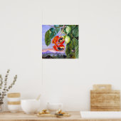 Noord - olie en vruchten van sterculia parviflora poster (Keuken)