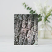 Noord-pijnboomschors Briefkaart (Staand voorkant)