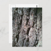 Noord-pijnboomschors Briefkaart (Voorkant / Achterkant)