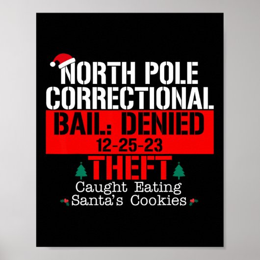noord-pool correctionele borgtocht ontkende diefst poster (Voorkant)