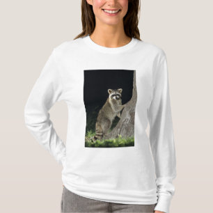 Noord-Raccoon, Procyon lotor, volwassene bij boom T-shirt