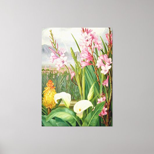 Noord - Schoonheden van de moerassen, botanische k Canvas Afdruk (Voorkant)