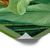 Noord - Schoonheden van de moerassen, botanische k Poster (Hoek)