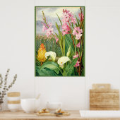 Noord - Schoonheden van de moerassen, botanische k Poster (Keuken)