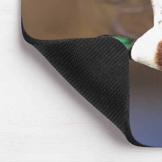 Noord-Shoveler Duck Mousepad Muismat (Hoek)