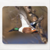 Noord-Shoveler Duck Mousepad Muismat (Voorkant)
