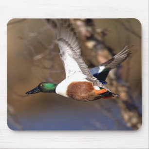 Noord-Shoveler Duck Mousepad Muismat