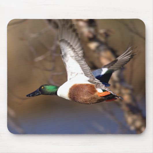 Noord-Shoveler Duck Mousepad Muismat (Voorkant)