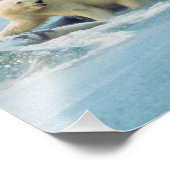 Noord-Slope, Alaska. Polaire Beren Ursus Foto Afdruk (Hoek)