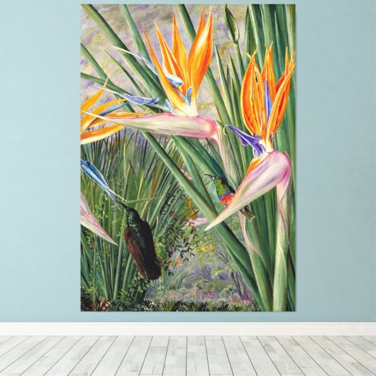 Noord - Strelitzia en Sugar Birds, Zuid - Afrika Canvas Afdruk (Insitu (Houten vloer))