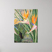 Noord - Strelitzia en Sugar Birds, Zuid - Afrika Canvas Afdruk (Voorkant)
